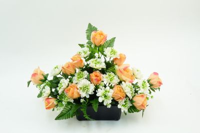 JARDINIÈRE DE ROSE, CAMÉLIA