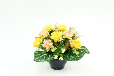 VASQUE DE RENONCULE, MINI FLEURS, HERBE