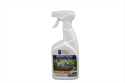 NETTOYANT RAVIVEUR