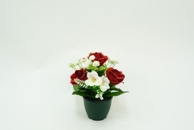 POT DE ROSE, ASTROMÉRIA ET GYPSO