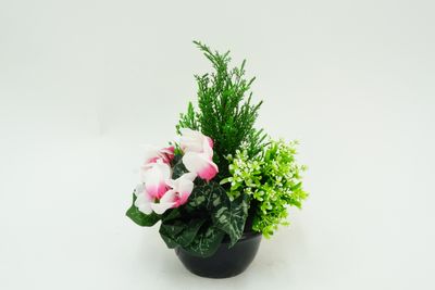 VASQUE DE BRUYÈRE, AZALÉE, LIERRE OU VASQUE DE SAPIN, CYCLAMEN, GYPSO.