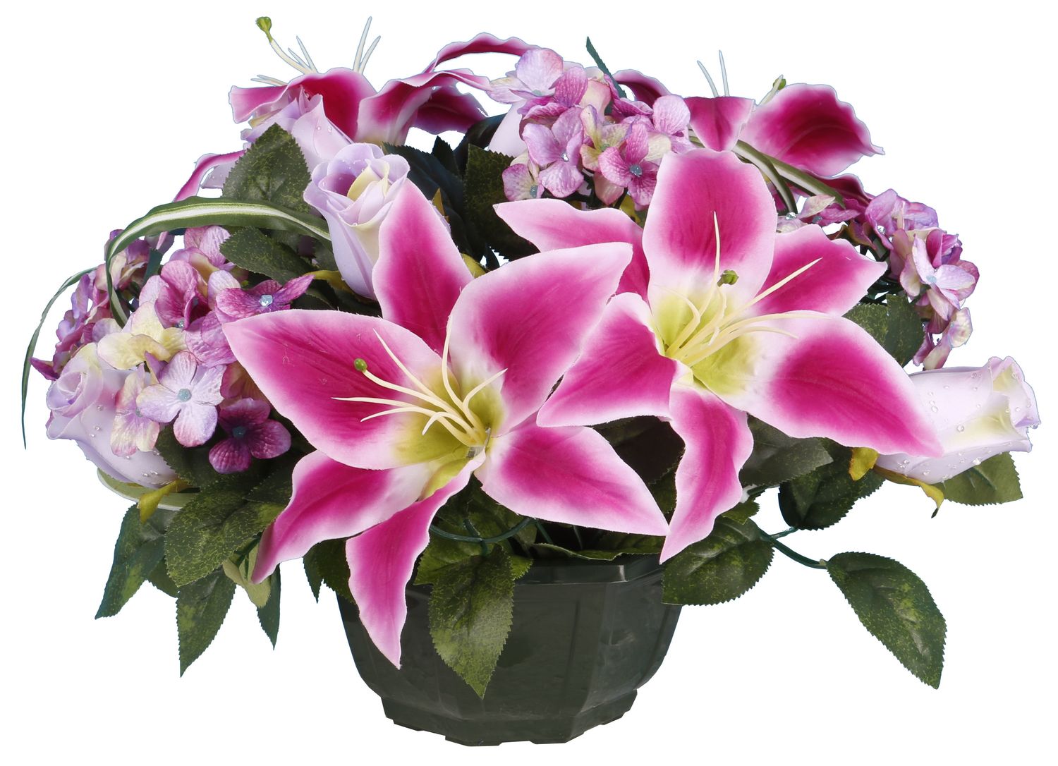 COUPE LYS ET HORTENSIA
