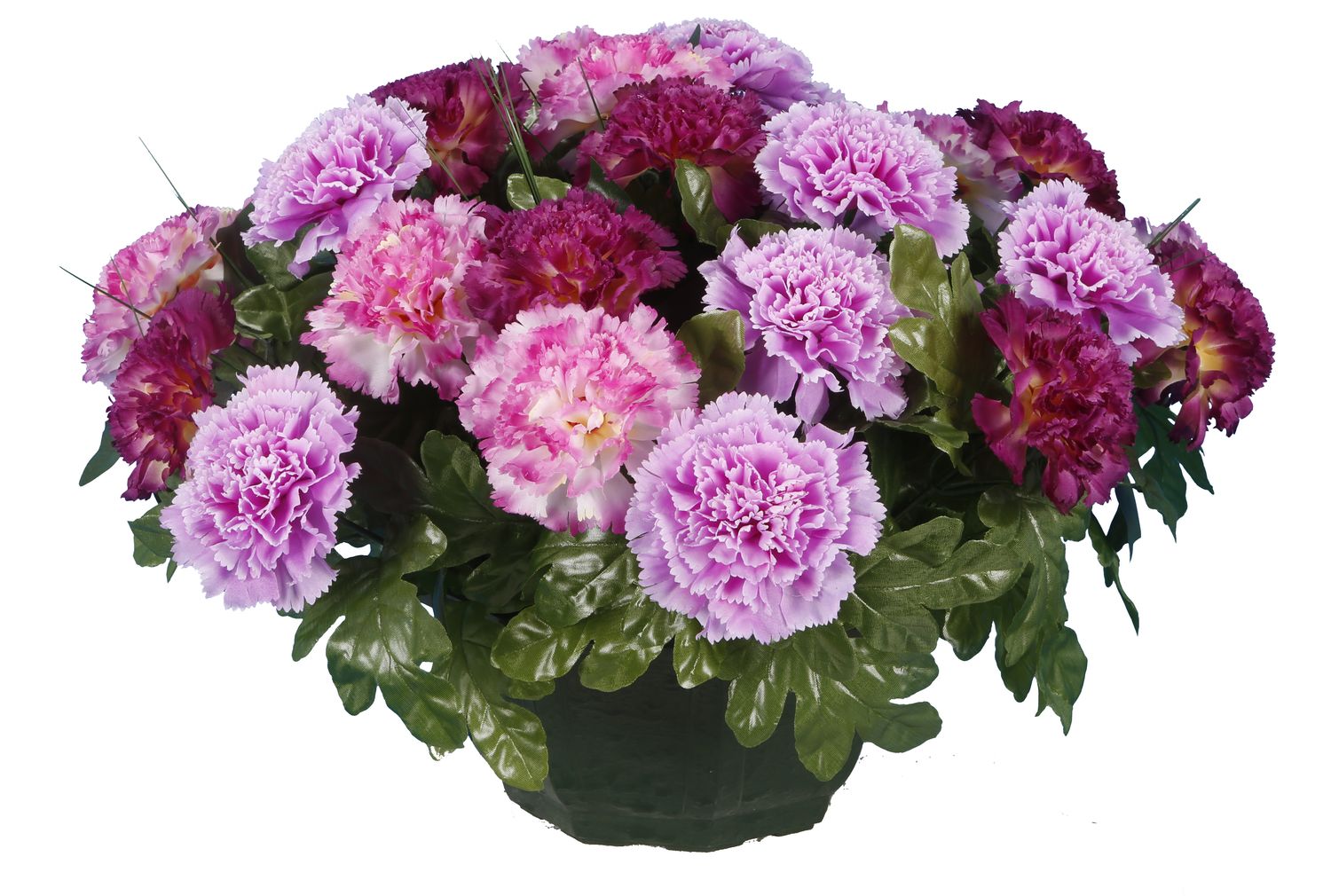 COUPE OEILLETS EN CAMAIEU