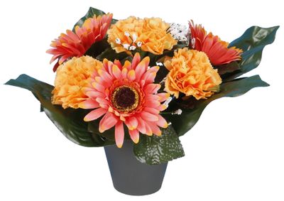 POT OEILLET  ET GERBERA