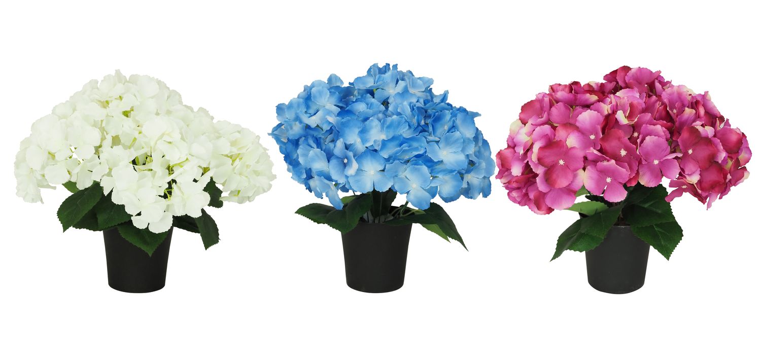 COMPOSITION 7 HORTENSIAS