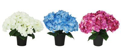 COMPOSITION 7 HORTENSIAS
