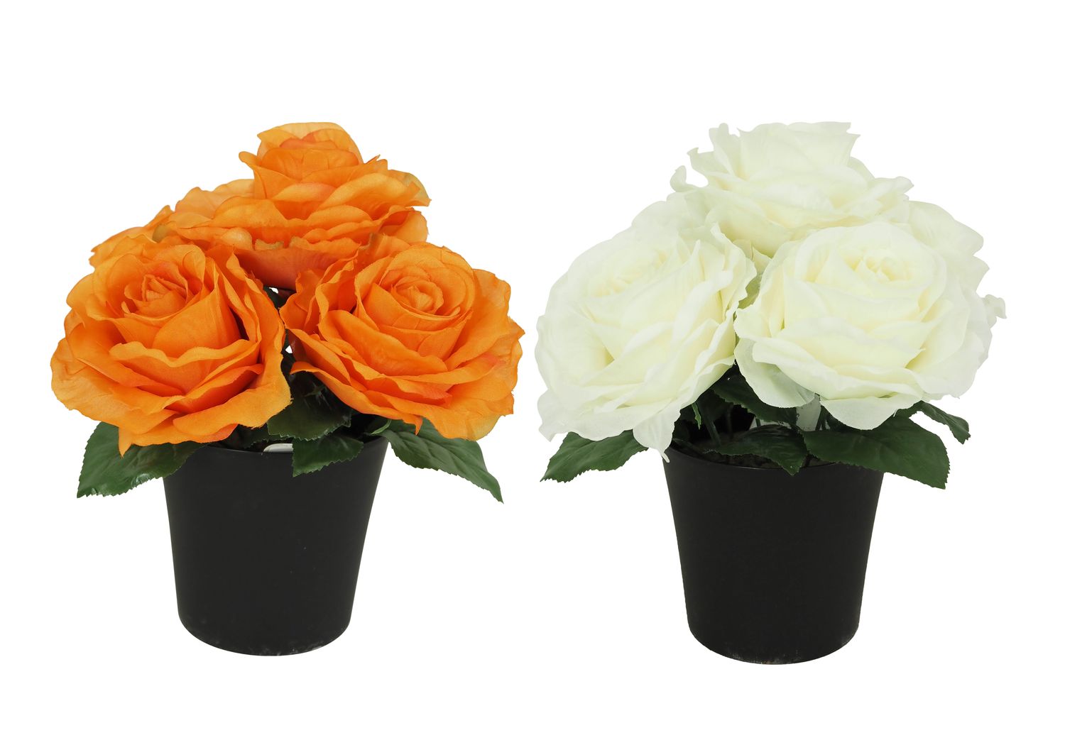 COMPOSITION 5 ROSES AVEC FEUILLES