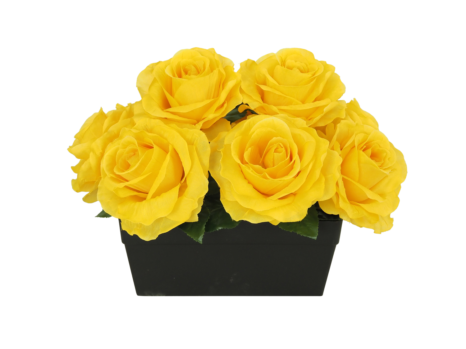 JARDINIÈRE 10 ROSES