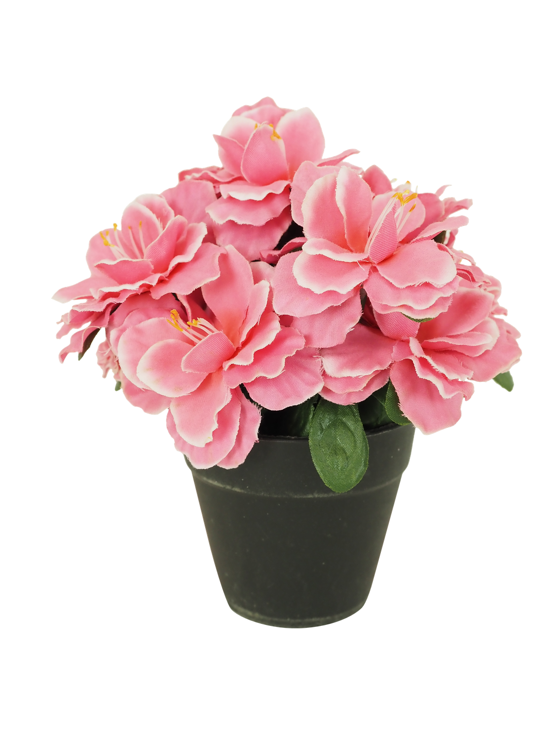 ASSORTIMENT PETITES COMPOSITIONS FLEURIES