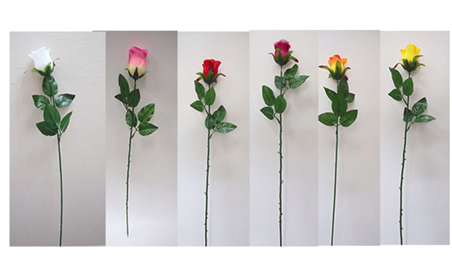 TIGE DE BOUTONS DE ROSES