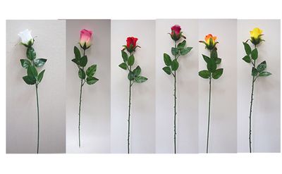 TIGE DE BOUTONS DE ROSES
