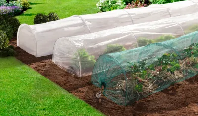 LOT DE 3 TUNNELS DE FORÇAGE