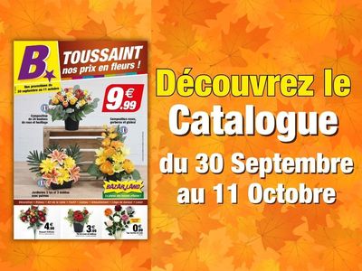 LES PROMOS DU MOMENT - FLEURS DE TOUSSAINT 12P