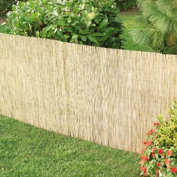 PAILLON DE ROSEAUX PELÉS