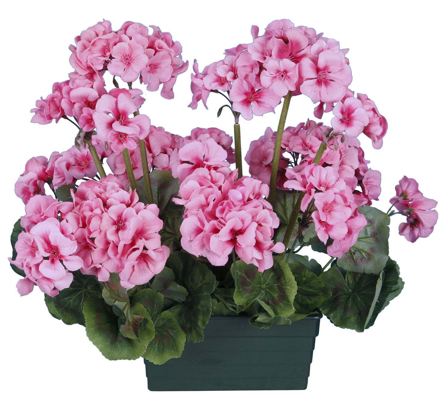 GÉRANIUM ARTIFICIEL