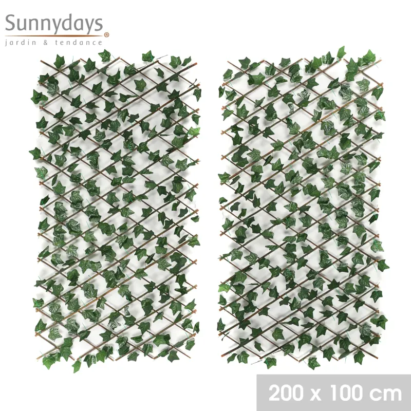 TREILLIS EXTENSIBLE AVEC LIERRE