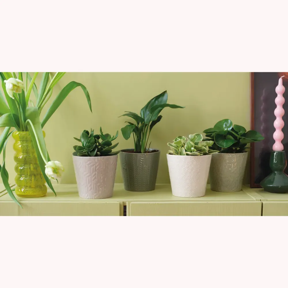 CACHE POT EN RELIEF