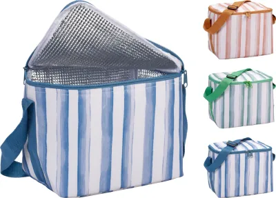 SAC ISOTHERME 6L RAYE 22.5X17X19CM ASS