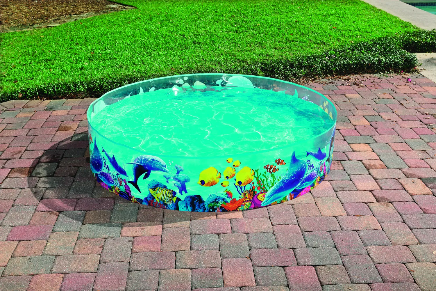 PISCINE TRANSPARENTE PISCINE TRANSPARENTE "FOND MARIN"