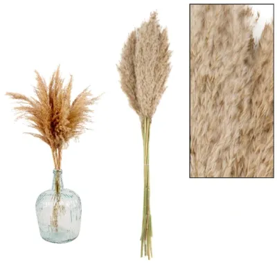 LE BOUQUET DE PAMPAS NATUREL