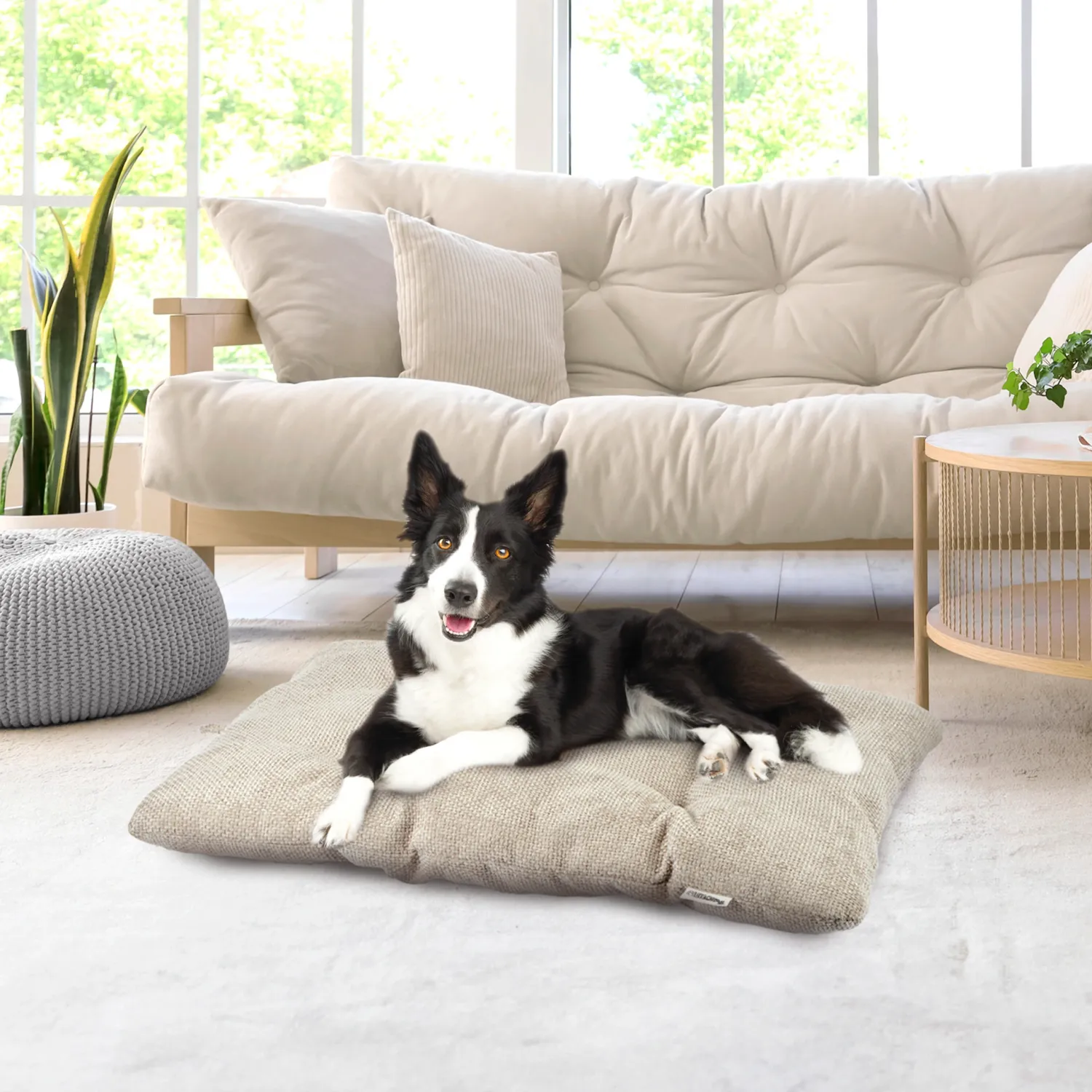 Coussin pour chien