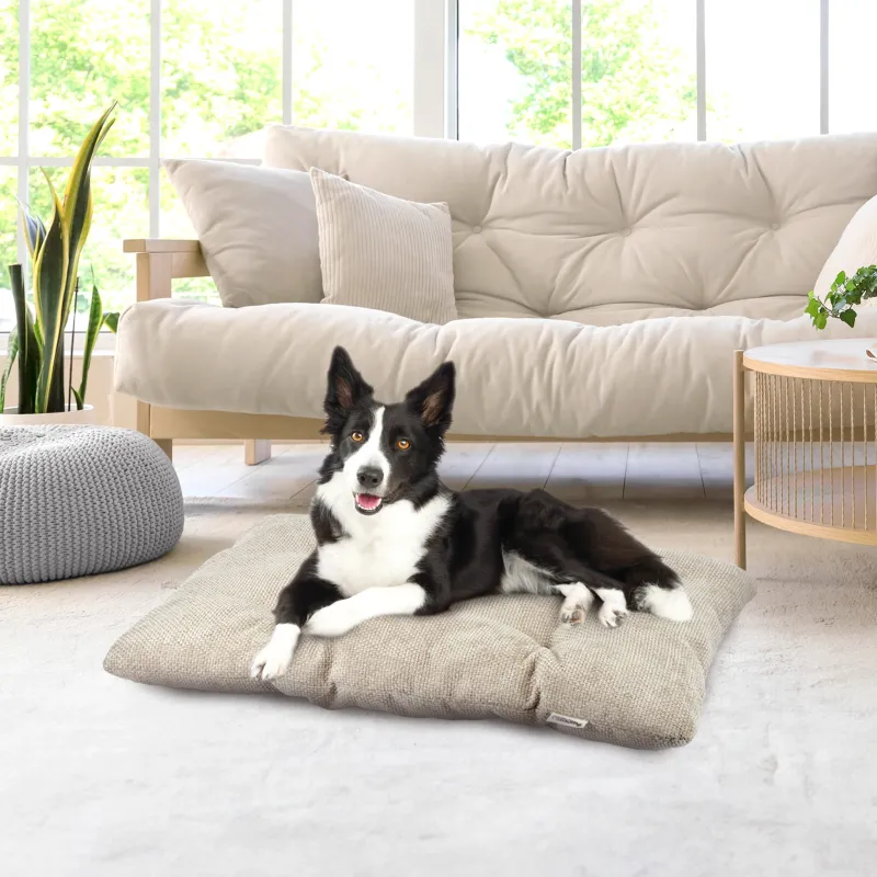 Coussin pour chien Coussin pour chien