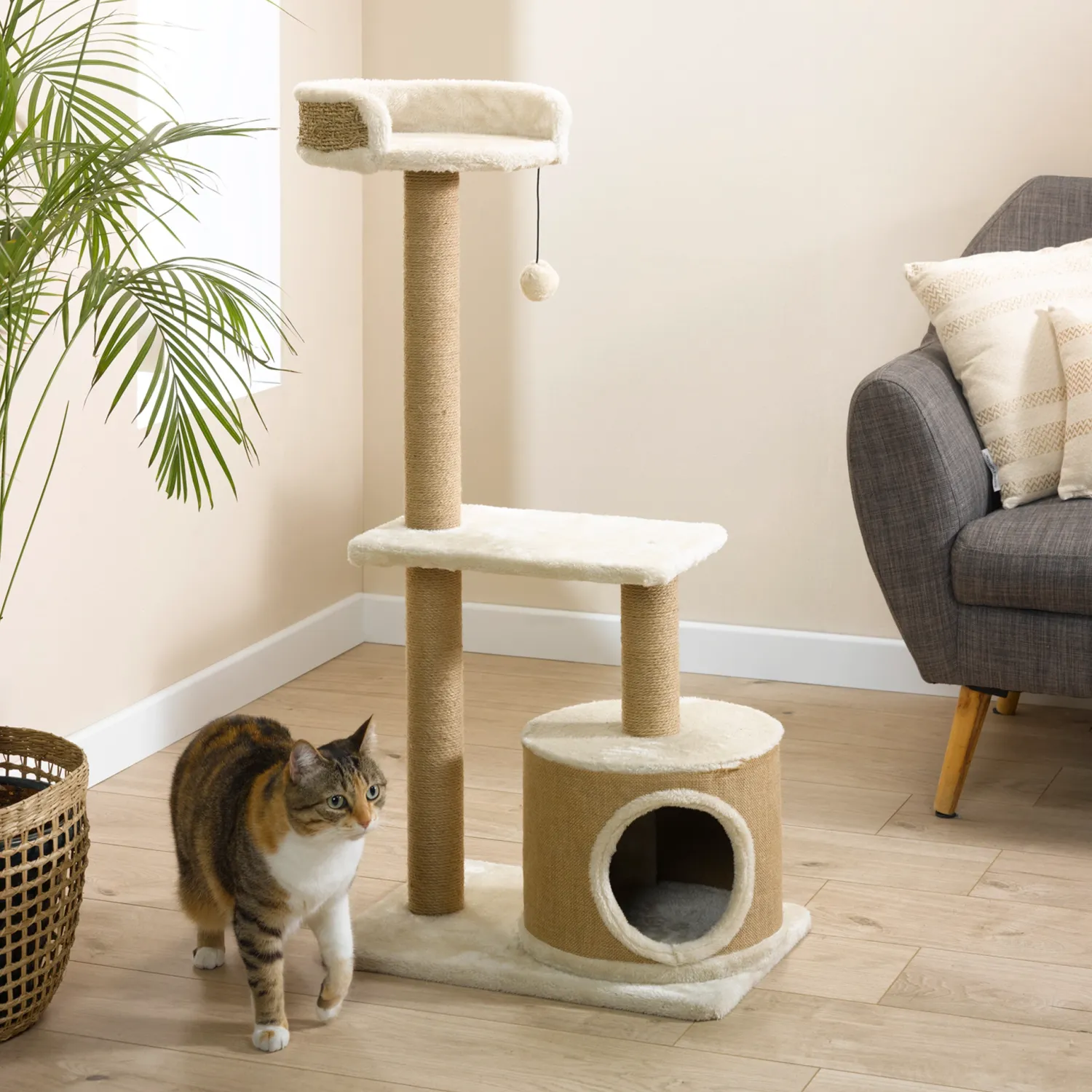 Arbre a chat