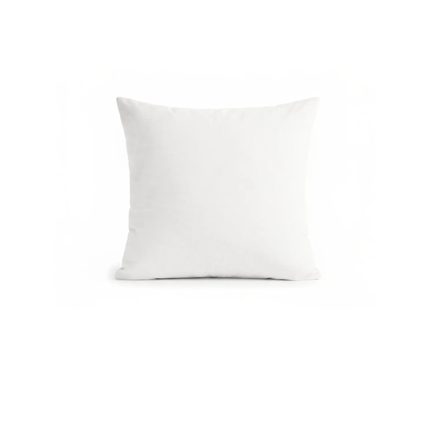 Lot de 2 taies d'oreiller
