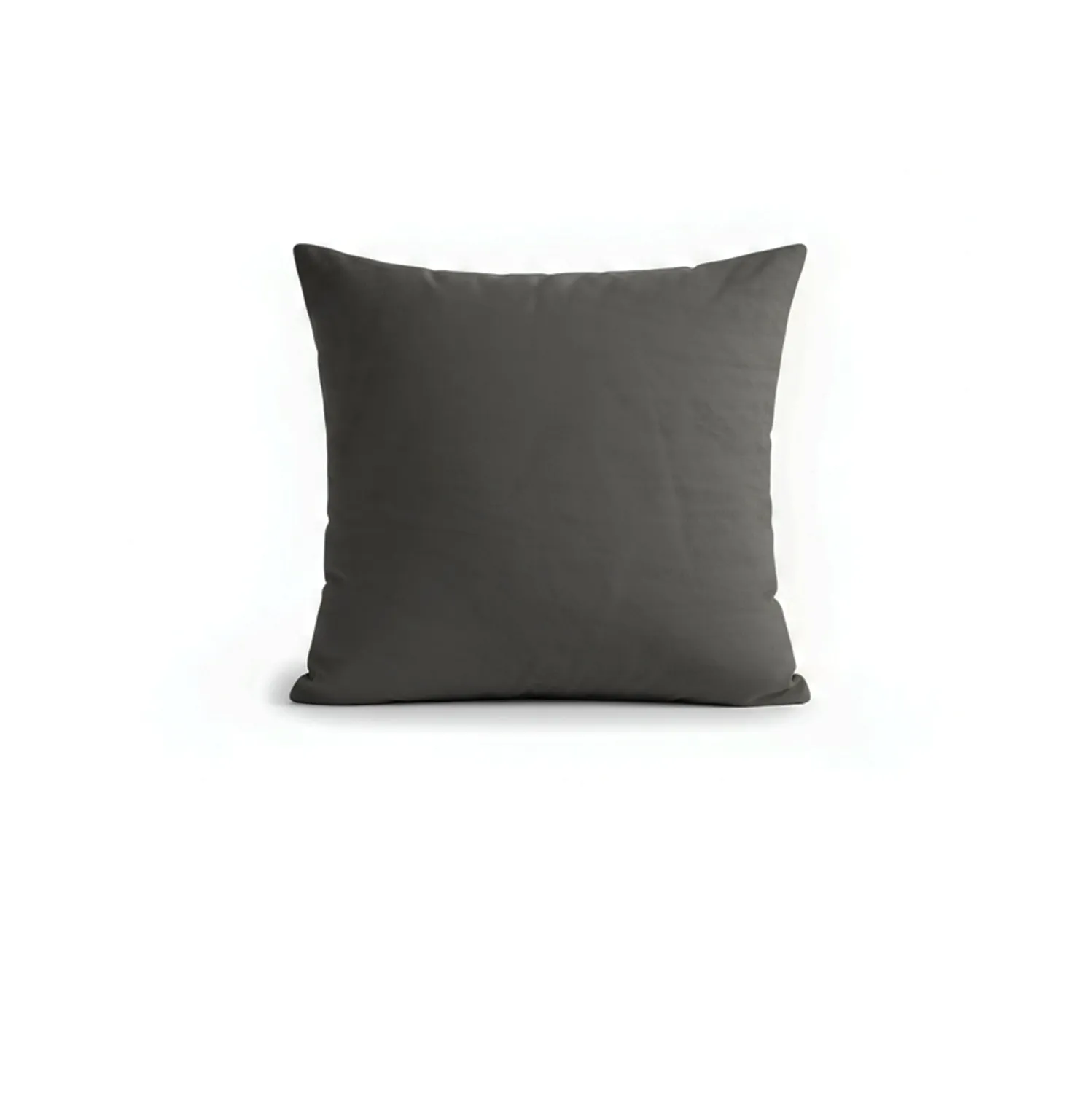 Lot de 2 taies d'oreiller

