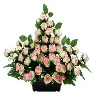 JARDINIÈRE DE BOUTON DE ROSE, GYPSO, ROSIER