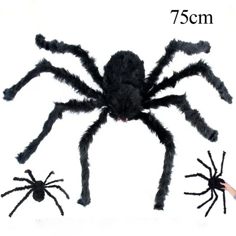 ARAIGNÉE GÉANTE