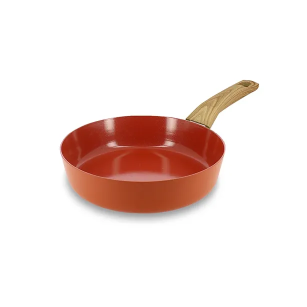 POÊLE COLORAMA 20CM INDUCTION BRIQUE