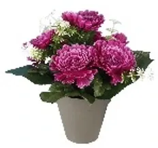 POT DE CHRYSANTHÈMES H22CM