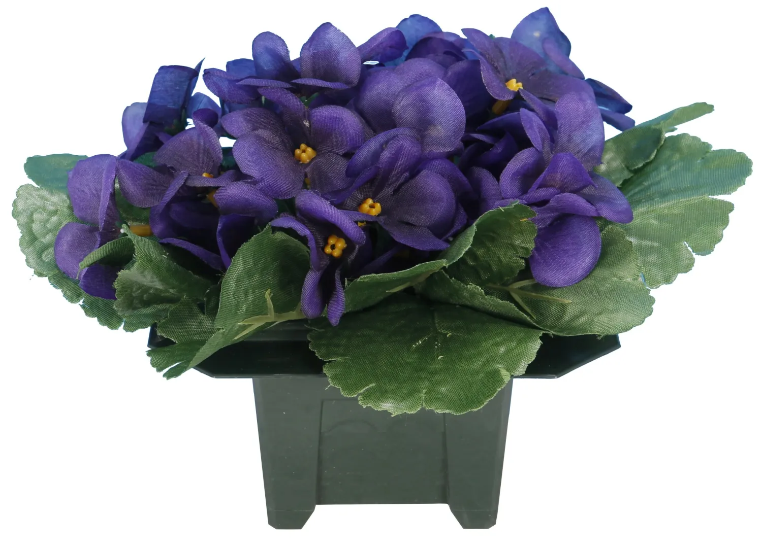 POT DE VIOLETTES