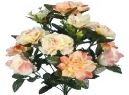 OEILLETS,DAHLIA ET BOUTONS DE ROSE