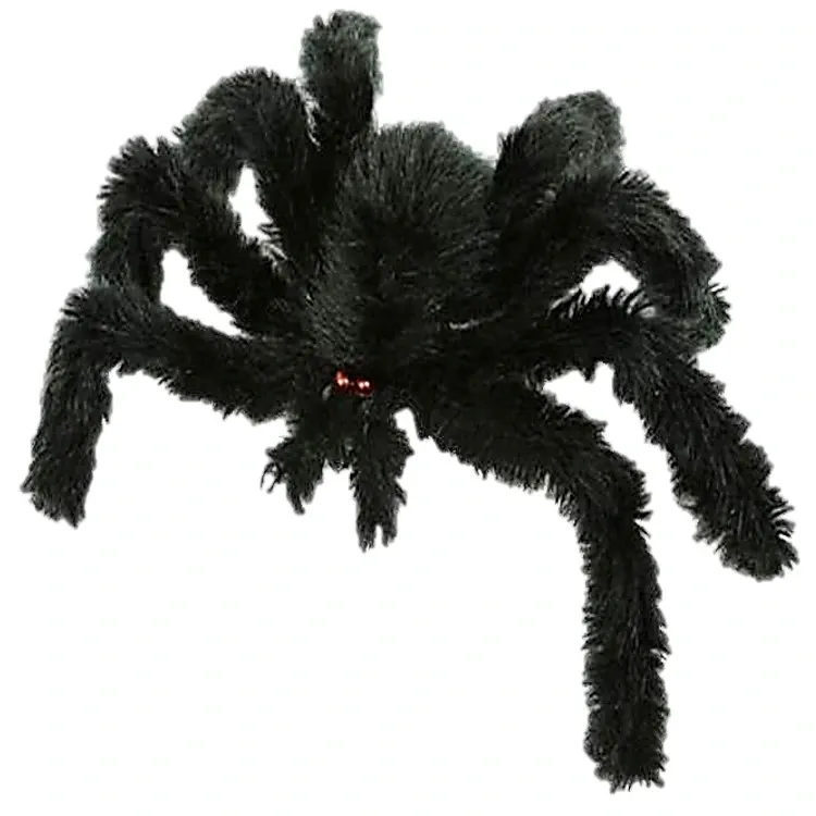 Araignée velue 30cm