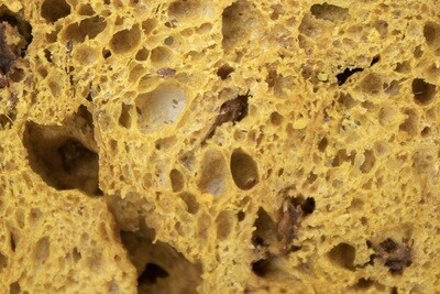Colomba with cereals
