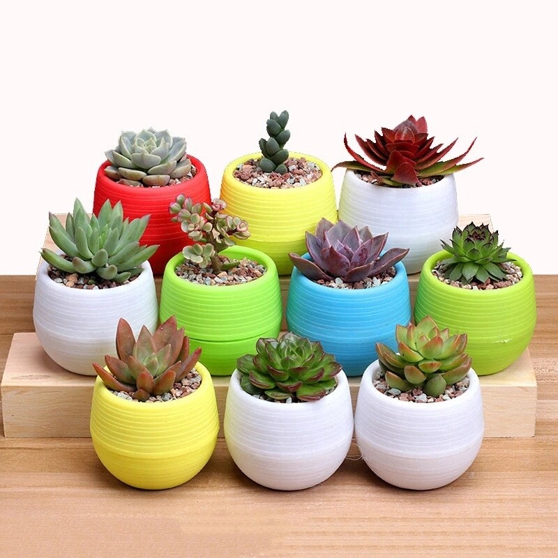 Mini Pot