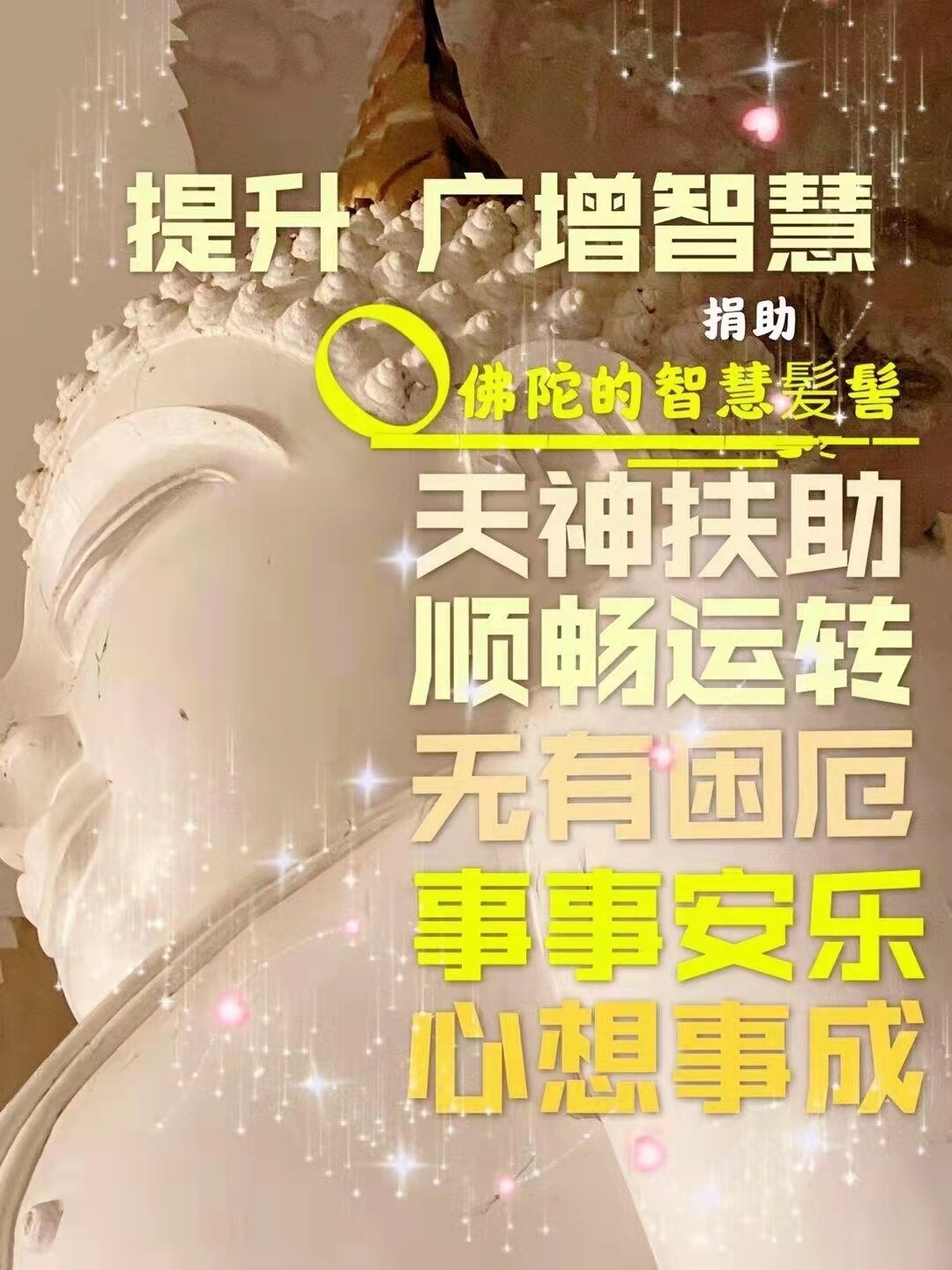 每佛日进行 ~【昭坤龙菩年】 捐献大佛陀髪髻