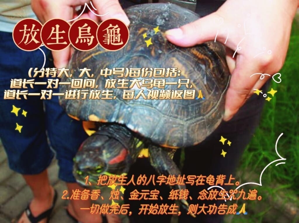 每个月初一,十五进行 ~ 道家一对一放生