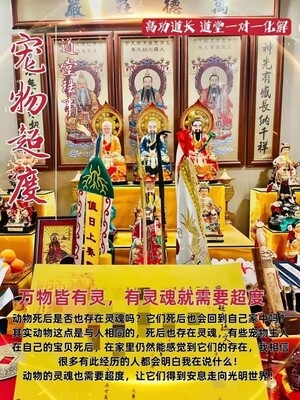 高功道长•宠物超度