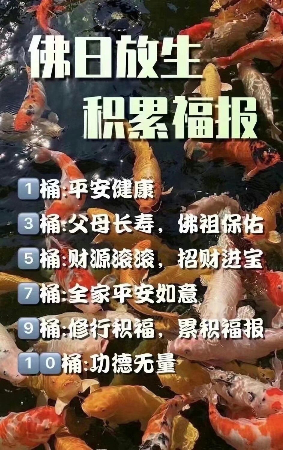 瓦帕恩庙•佛日放生报名