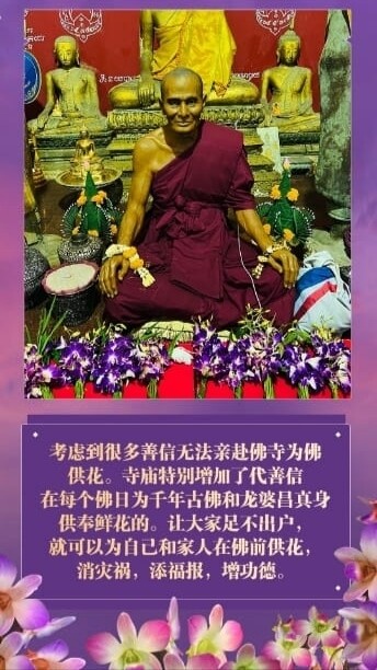 佛日专场 ~ 龙婆昌庙•佛前供花