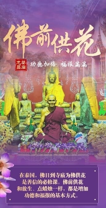 佛日专场 ~ 龙婆昌庙•佛前供花