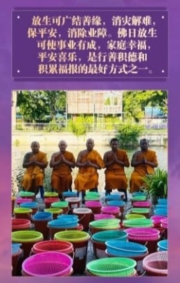 龙婆昌•佛日放生功德