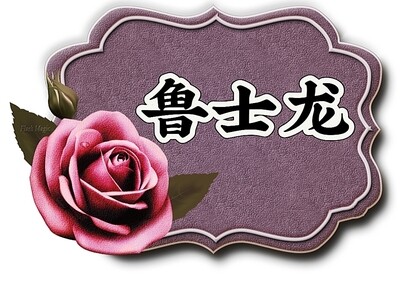 鲁士龙