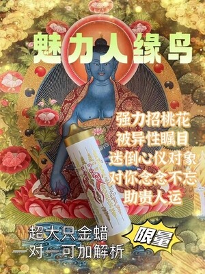 四面神前金蜡•魅力人缘鸟