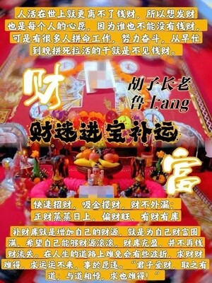 鲁士ang•财进宝补运