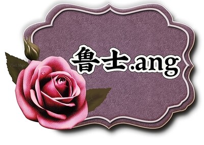 鲁士ang