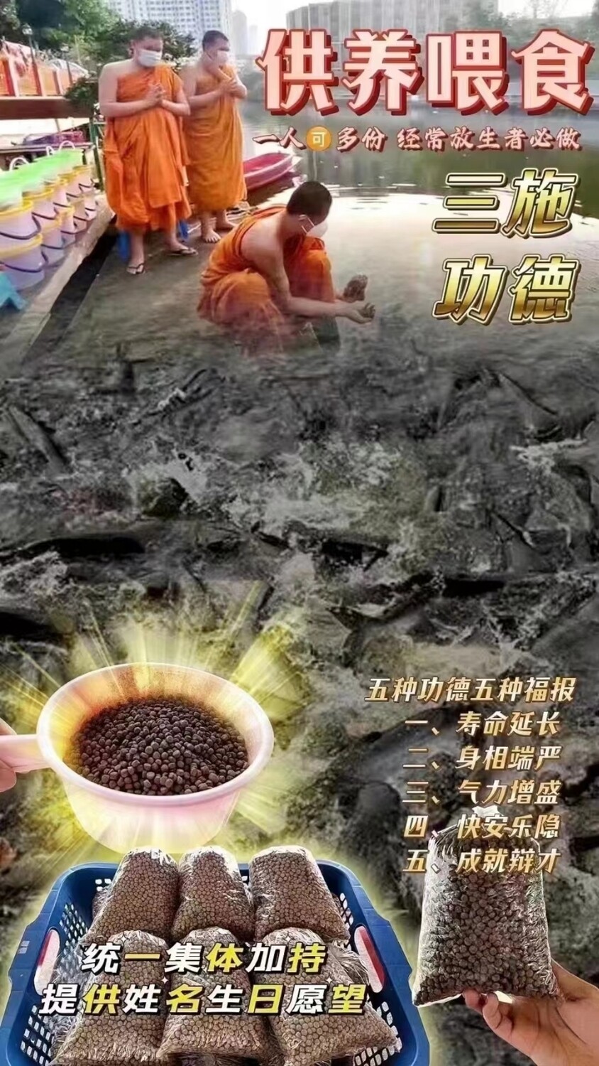 每个佛日•供养鱼粮+龟粮功德​‎͏